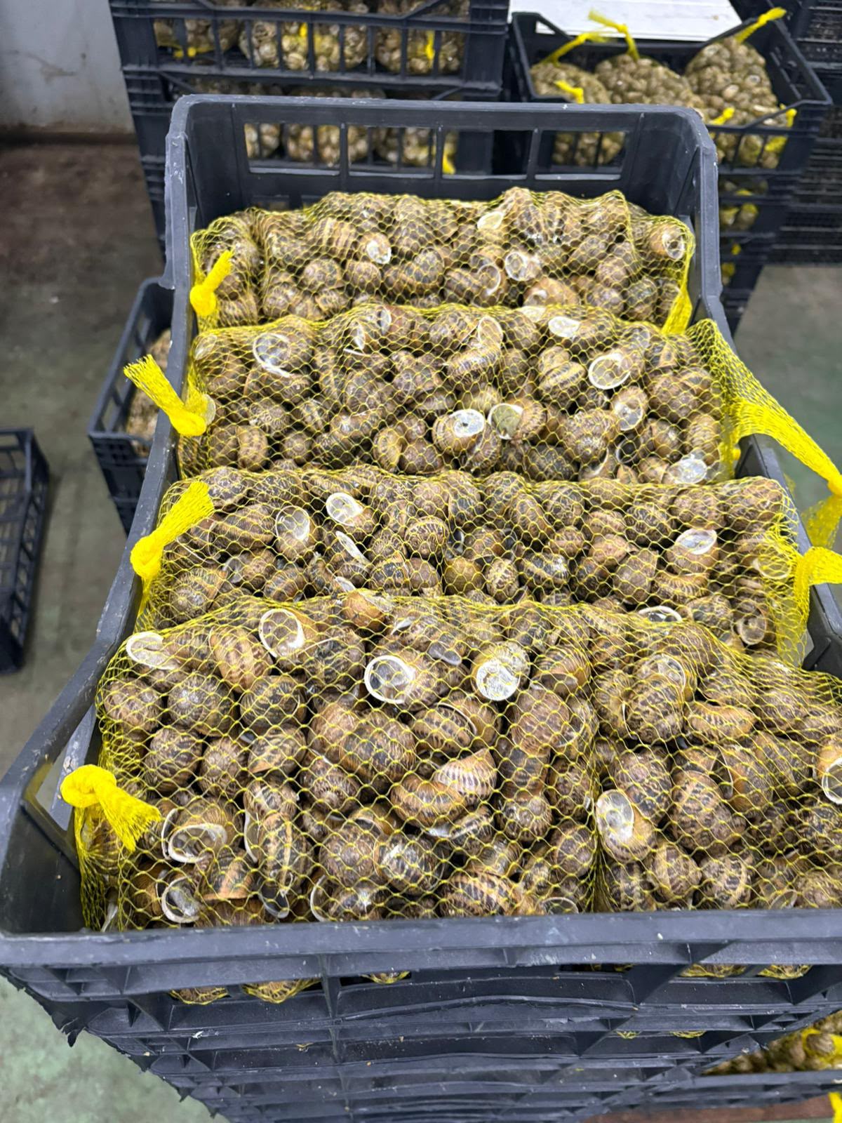 Detalle del producto preparado para distribución