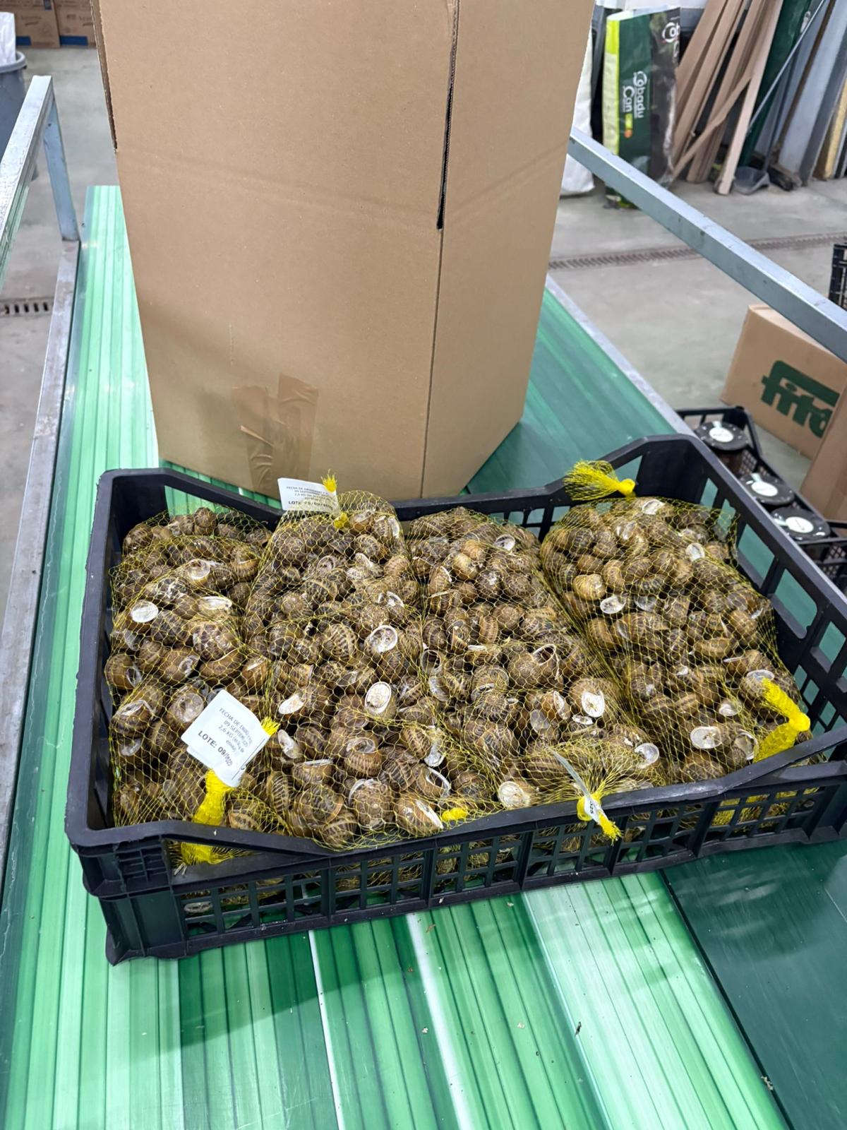 Preparación de producto para expedición